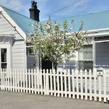 In Dunedin'S Heart, Full House, Full Sun, Full Chill, Why Stay At A Hotel When You Can Afford An Entire House Kültér fotó