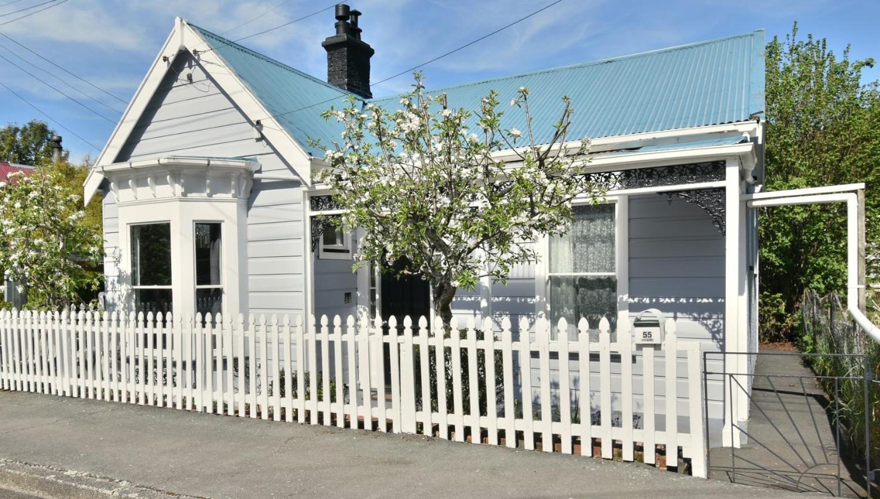 In Dunedin'S Heart, Full House, Full Sun, Full Chill, Why Stay At A Hotel When You Can Afford An Entire House Kültér fotó